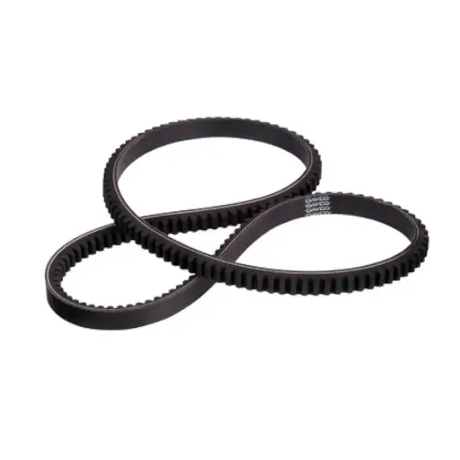 [1575*13AVX] V-Ribbed Belt