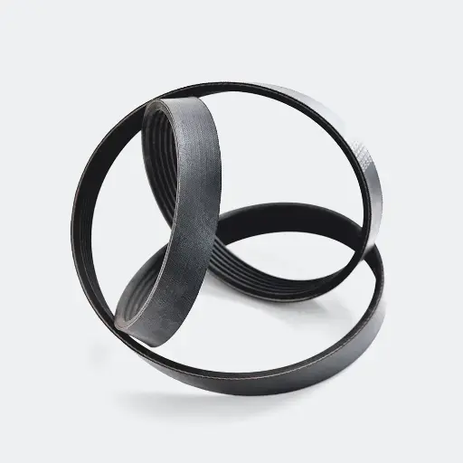 [800*8PK] V-Ribbed Belt